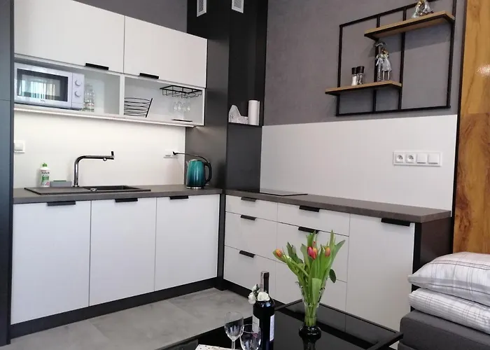 Noce W Jelonce - Nowoczesny Typu W Centrum Jeleniej G - Z Garazem Dla 1-4 Osob